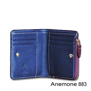 Anemone 883