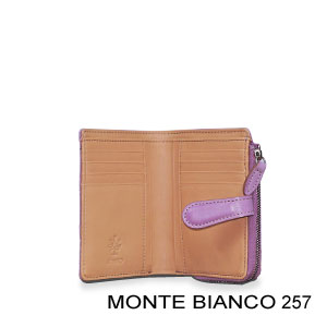 Monte Bianco 257