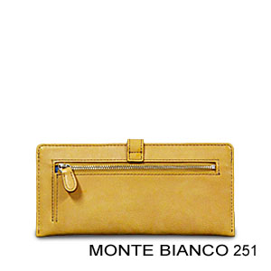 Monte Bianco 251