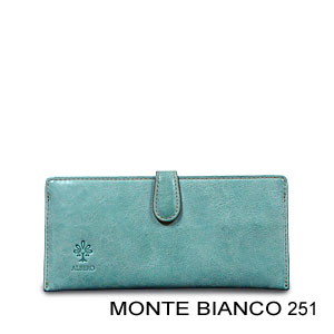 Monte Bianco 251